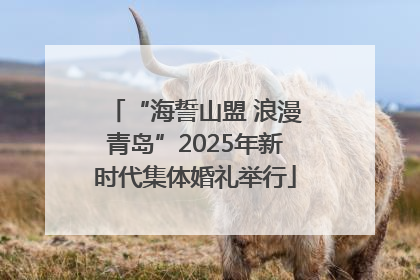 “海誓山盟 浪漫青岛”2025年新时代集体婚礼举行