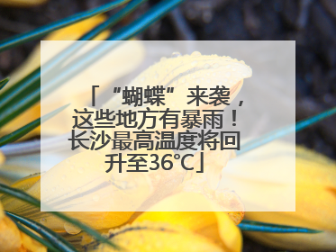 “蝴蝶”来袭，这些地方有暴雨！长沙最高温度将回升至36℃