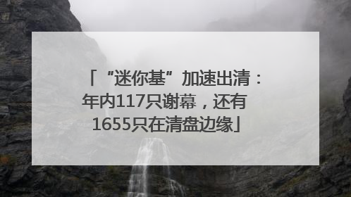 “迷你基”加速出清：年内117只谢幕，还有1655只在清盘边缘