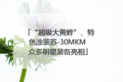 “超级大黄蜂”、特色涂装苏-30MKM 众多明星装备亮相