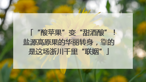 “酸苹果”变“甜酒酿”！盐源高原果的华丽转身，靠的是这场浙川千里“联姻”