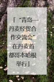 “青岛—丹麦经贸合作交流会” 在丹麦首都哥本哈根举行
