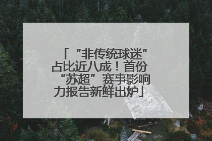“非传统球迷”占比近八成！首份“苏超”赛事影响力报告新鲜出炉