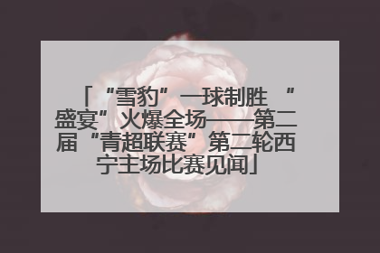“雪豹”一球制胜 “盛宴”火爆全场——第二届“青超联赛”第二轮西宁主场比赛见闻