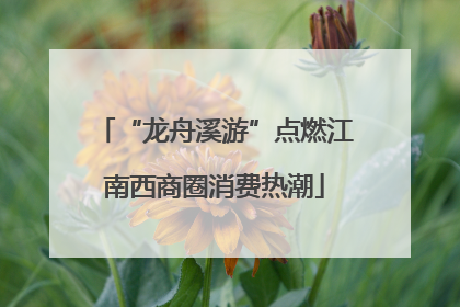 “龙舟溪游”点燃江南西商圈消费热潮