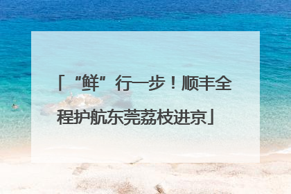 “鲜”行一步！顺丰全程护航东莞荔枝进京