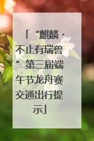 “麒麟・不止有瑞兽”第三届端午节龙舟赛交通出行提示