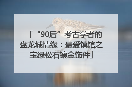 “90后”考古学者的盘龙城情缘：最爱镇馆之宝绿松石镶金饰件