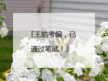 王皓考编，已通过笔试！