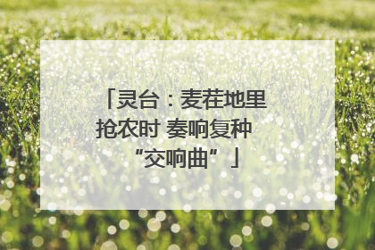 灵台：麦茬地里抢农时 奏响复种“交响曲”