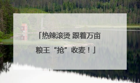 热辣滚烫 跟着万亩粮王“抢”收麦！