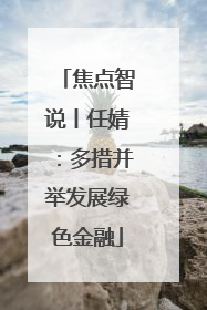 焦点智说丨任婧：多措并举发展绿色金融