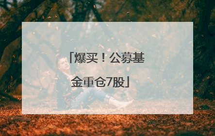 爆买！公募基金重仓7股