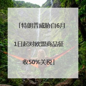 特朗普威胁自6月1日起对欧盟商品征收50%关税