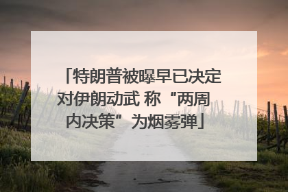 特朗普被曝早已决定对伊朗动武 称“两周内决策”为烟雾弹