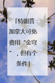 特朗普：加拿大可免费用“金穹”，但有个条件