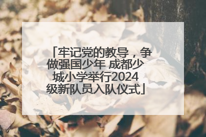 牢记党的教导，争做强国少年 成都少城小学举行2024级新队员入队仪式