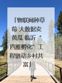 物联网种草莓 大数据卖黄瓜 临沂“四雁孵化”工程链动乡村共富