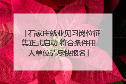 石家庄就业见习岗位征集正式启动 符合条件用人单位请尽快报名