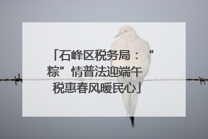 石峰区税务局：“粽”情普法迎端午 税惠春风暖民心