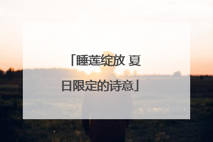 睡莲绽放 夏日限定的诗意