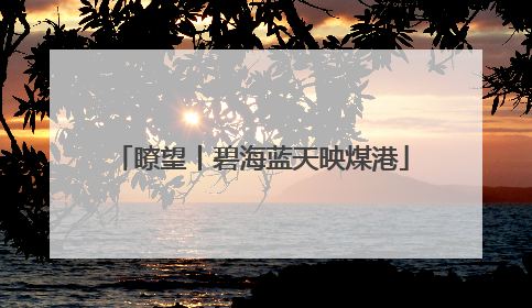 瞭望丨碧海蓝天映煤港
