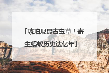 琥珀现最古虫草！寄生蚂蚁历史达亿年