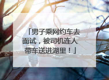 男子乘网约车去面试，被司机连人带车送进湖里！