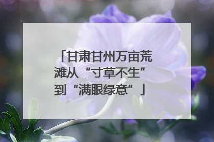 甘肃甘州万亩荒滩从“寸草不生”到“满眼绿意”