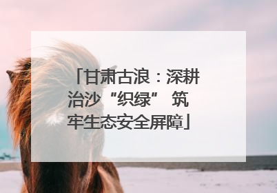 甘肃古浪：深耕治沙“织绿” 筑牢生态安全屏障