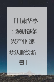 甘肃华亭：深耕链条兴产业 逐梦沃野绘新景