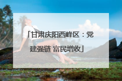 甘肃庆阳西峰区：党建强链 富民增收