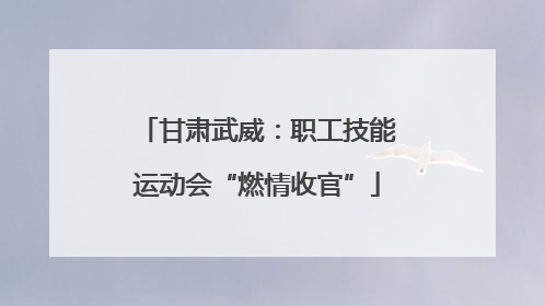甘肃武威：职工技能运动会“燃情收官”