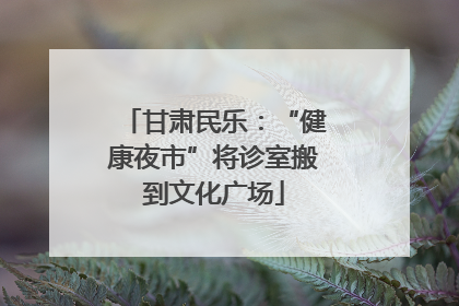 甘肃民乐：“健康夜市”将诊室搬到文化广场