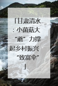 甘肃清水：小菌菇大“蘑”力撑起乡村振兴“致富伞”