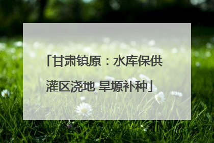 甘肃镇原：水库保供 灌区浇地 旱塬补种