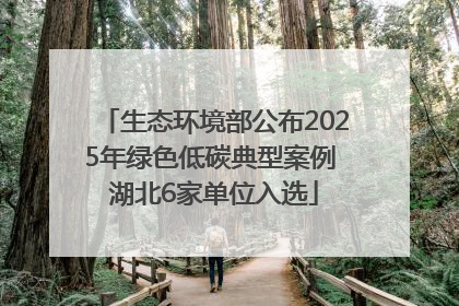 生态环境部公布2025年绿色低碳典型案例 湖北6家单位入选