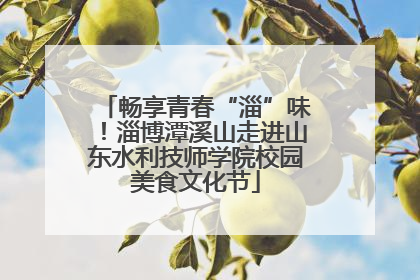 畅享青春“淄”味！淄博潭溪山走进山东水利技师学院校园美食文化节