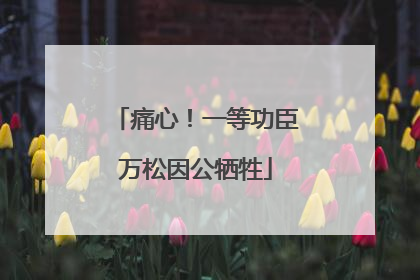 痛心！一等功臣万松因公牺牲