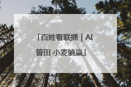 百姓看联播｜AI管田 小麦躺赢