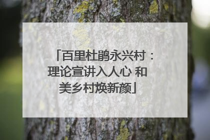 百里杜鹃永兴村：理论宣讲入人心 和美乡村焕新颜