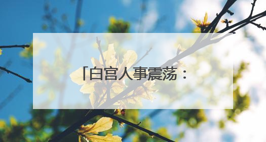 白宫人事震荡：国安委裁人、马斯克暗示淡出政治
