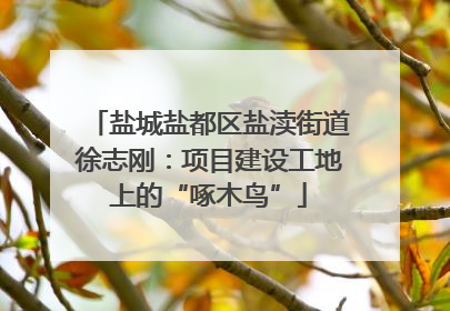 盐城盐都区盐渎街道徐志刚：项目建设工地上的“啄木鸟”