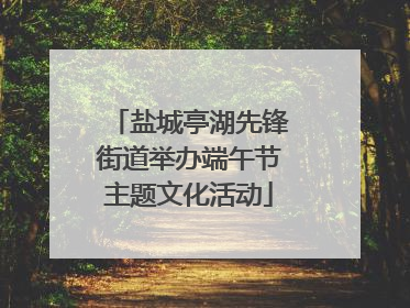 盐城亭湖先锋街道举办端午节主题文化活动