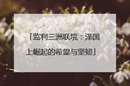 监利三洲联垸：泽国上崛起的希望与坚韧