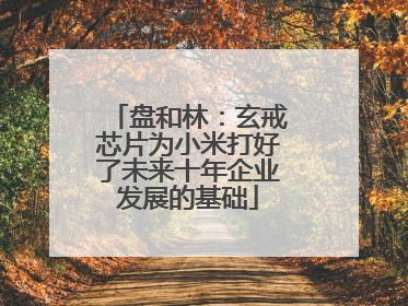盘和林：玄戒芯片为小米打好了未来十年企业发展的基础