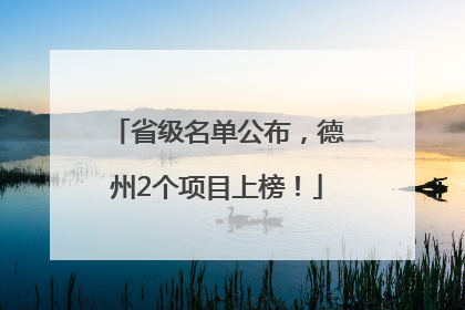 省级名单公布，德州2个项目上榜！