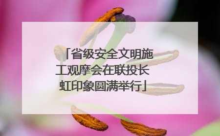 省级安全文明施工观摩会在联投长虹印象圆满举行