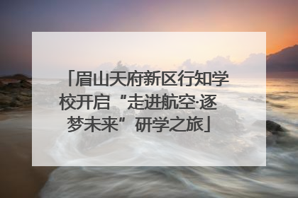 眉山天府新区行知学校开启“走进航空·逐梦未来”研学之旅