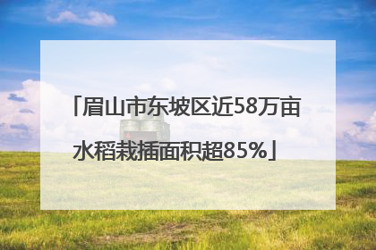 眉山市东坡区近58万亩水稻栽插面积超85%